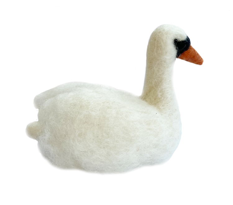 Zwaan