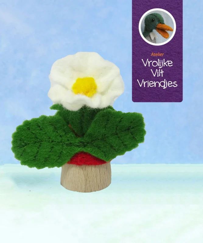 Aardbei bloempopje