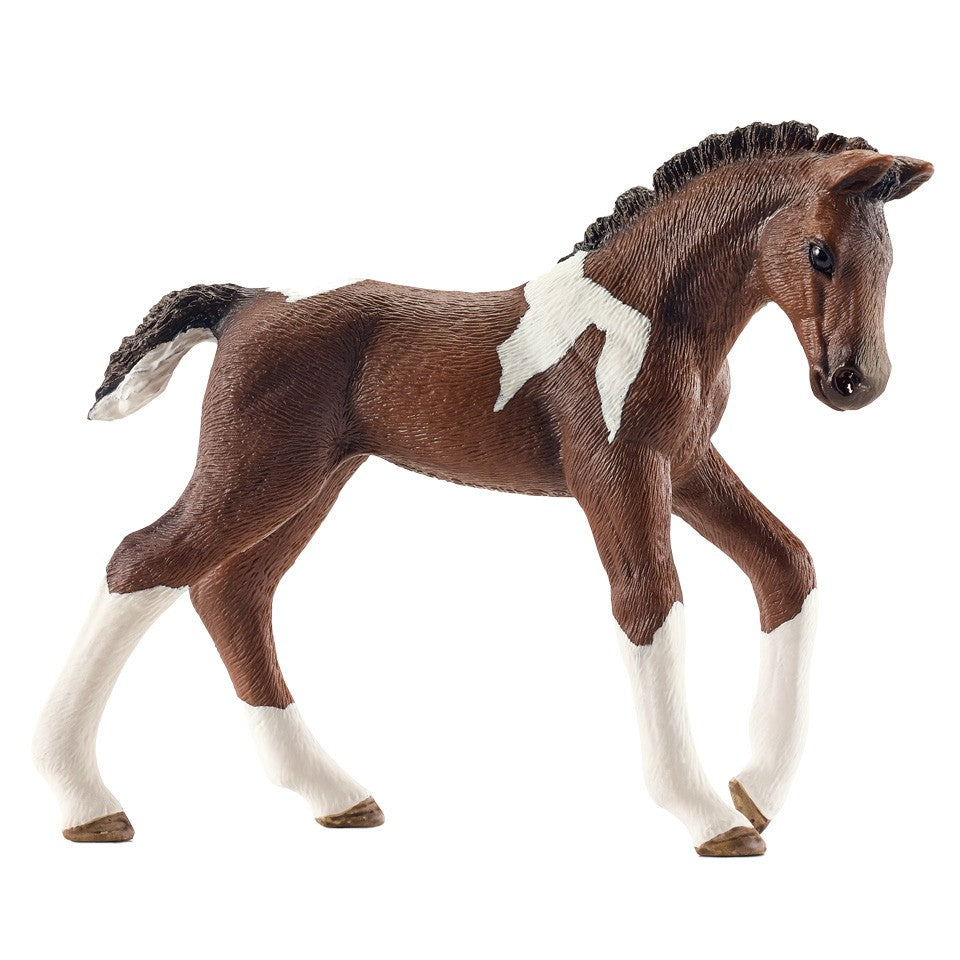 Schleich 13578 Trakehner veulen