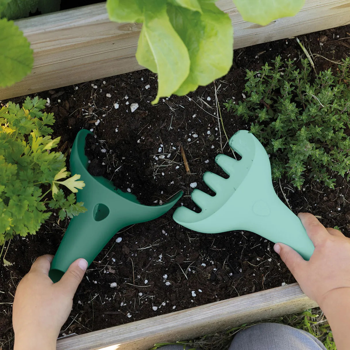 Raki garden green