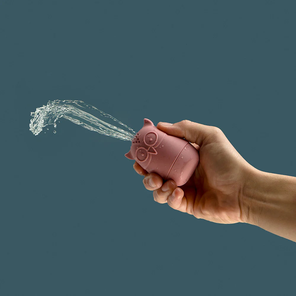 Bigjigs bath animals