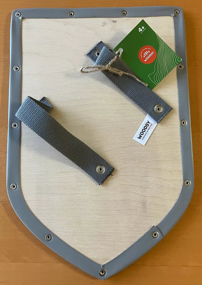 Houten schild groen met draak