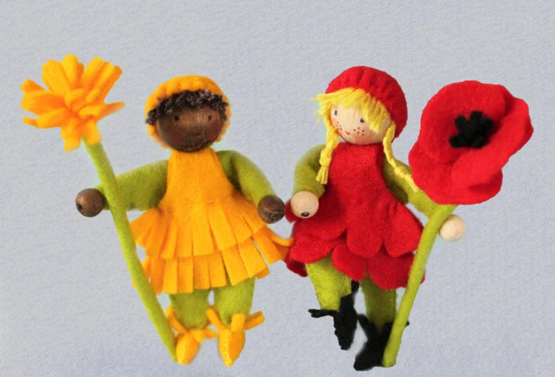 Paardenbloem en klaproos