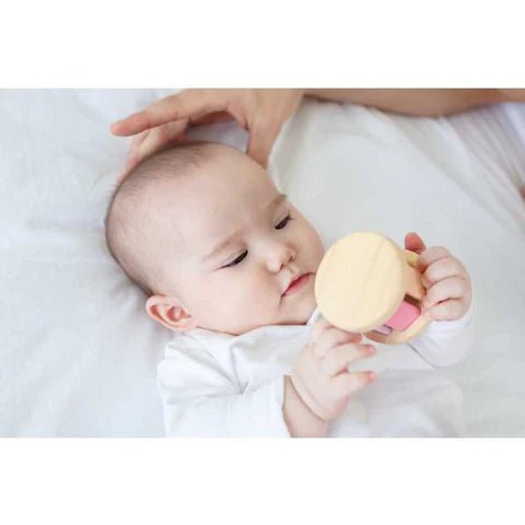 PlanToys roller pastel