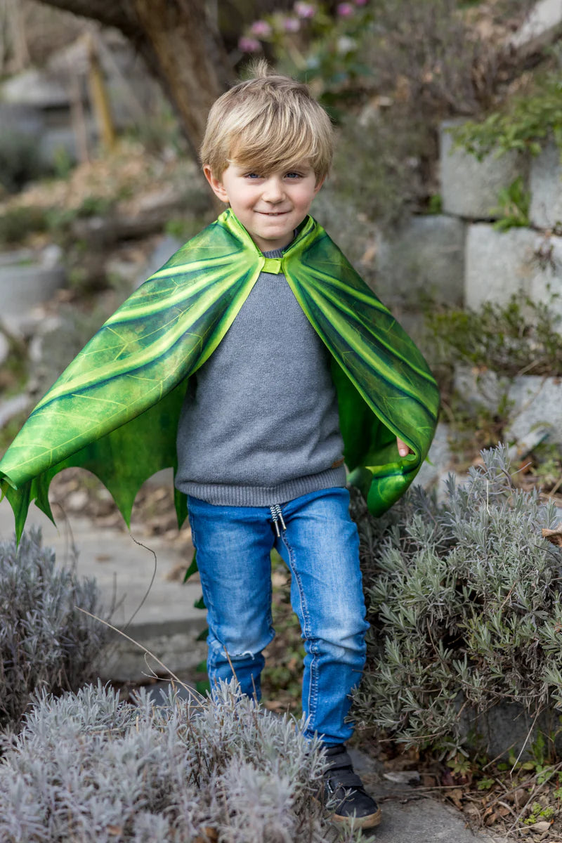 Zachte vleugels groene draak