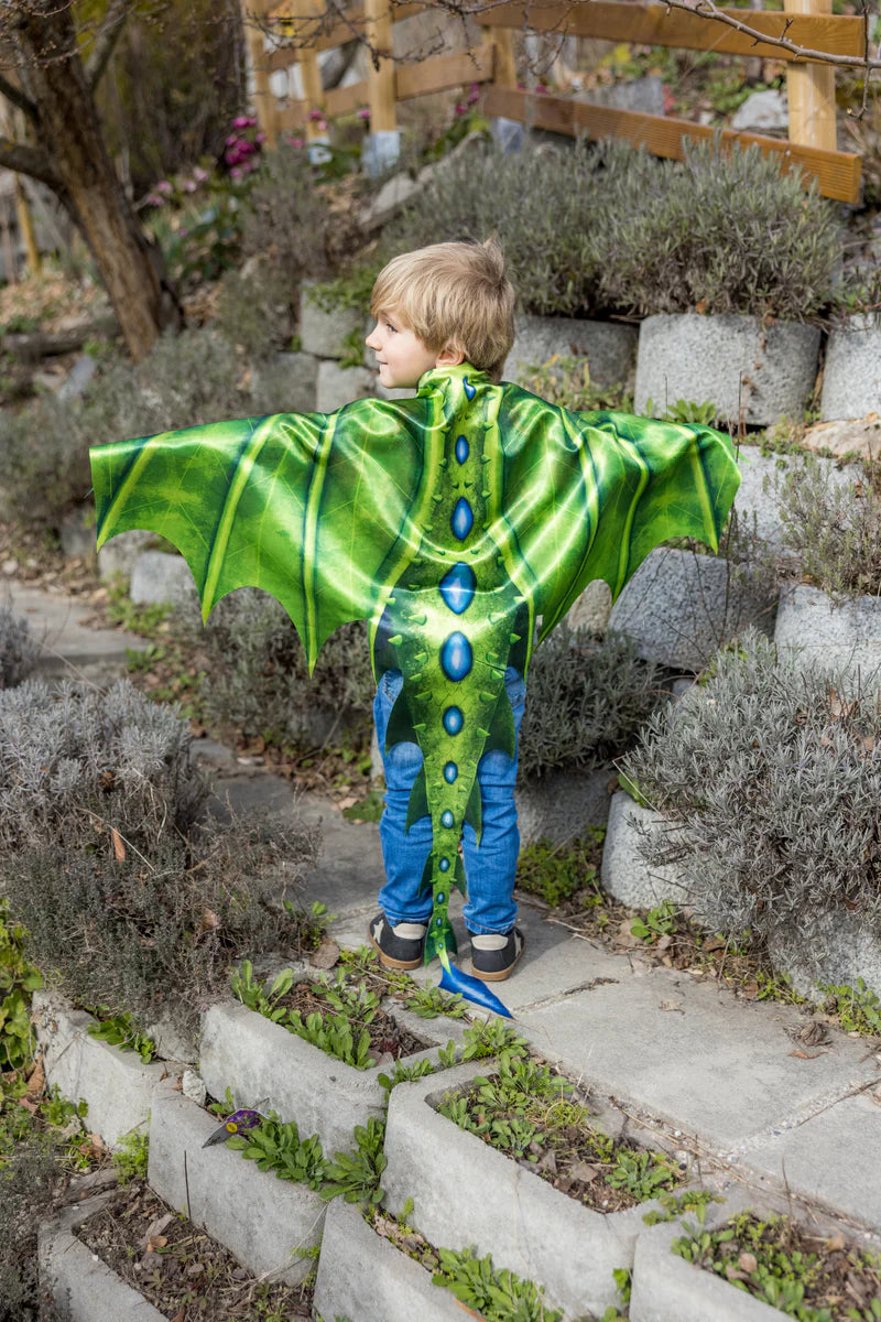 Zachte vleugels groene draak