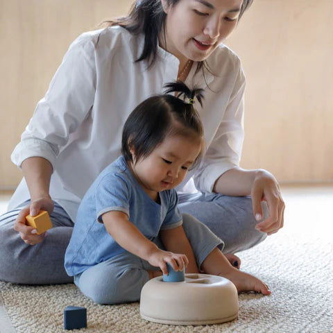 PlanToys vormenstoof