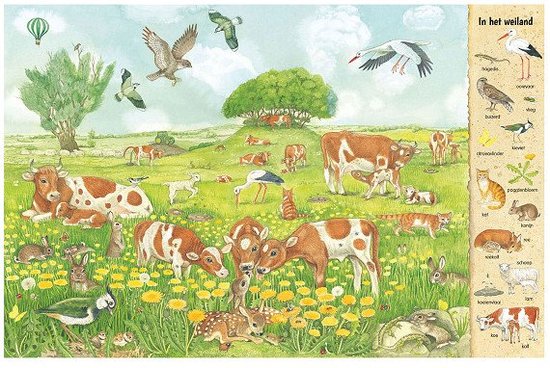 Kijk- en zoekboek in het veld