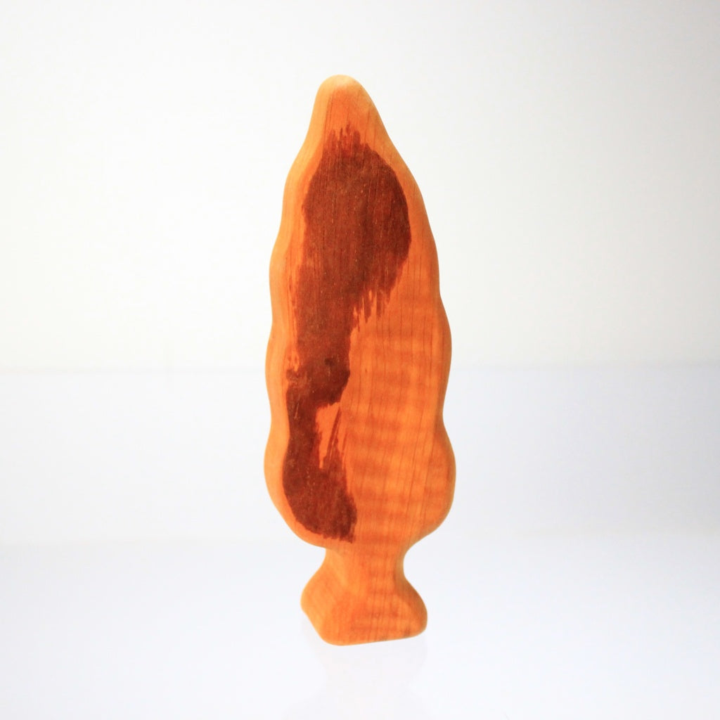 Birkenhof 5733 populier groot