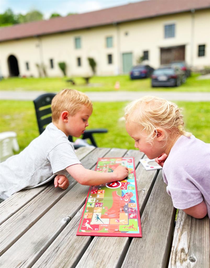 Magnetisch bordspel to go ganzenbord dinosaurussen