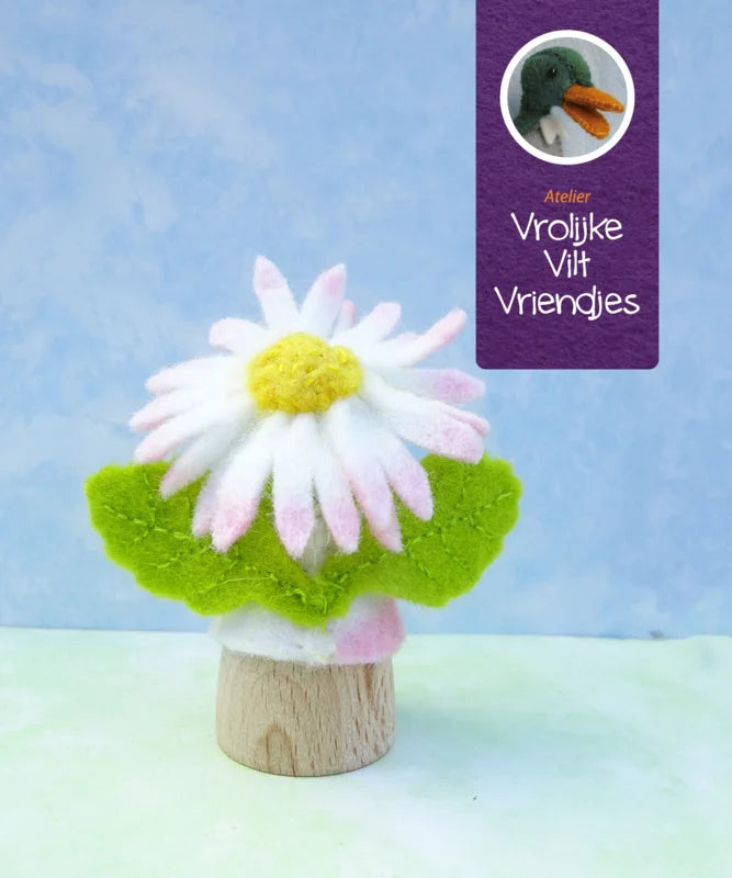 Madelief bloempopje
