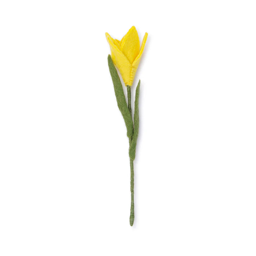 Krokus geel