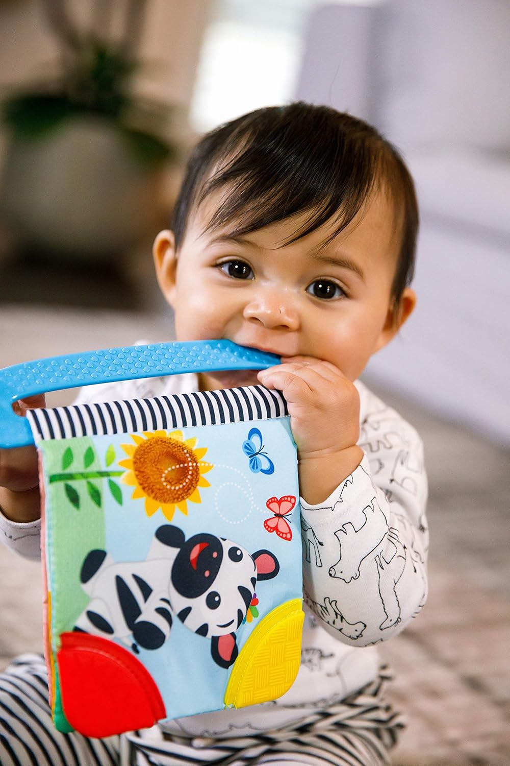 Baby einstein teether book