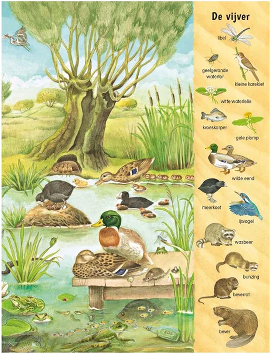 Kijk- en zoekboek bij het water