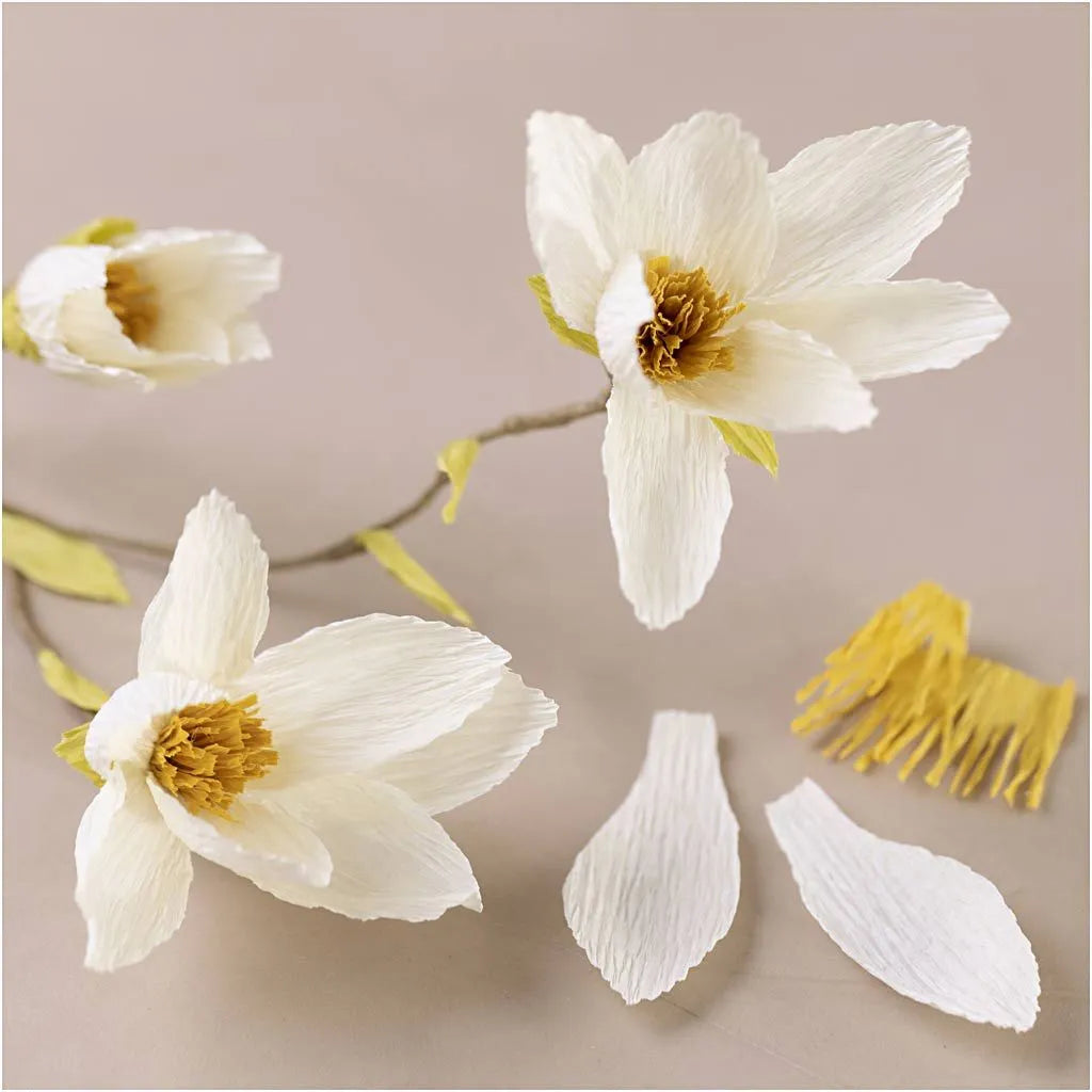 Mini hobbyset crêpepapier magnoliatak
