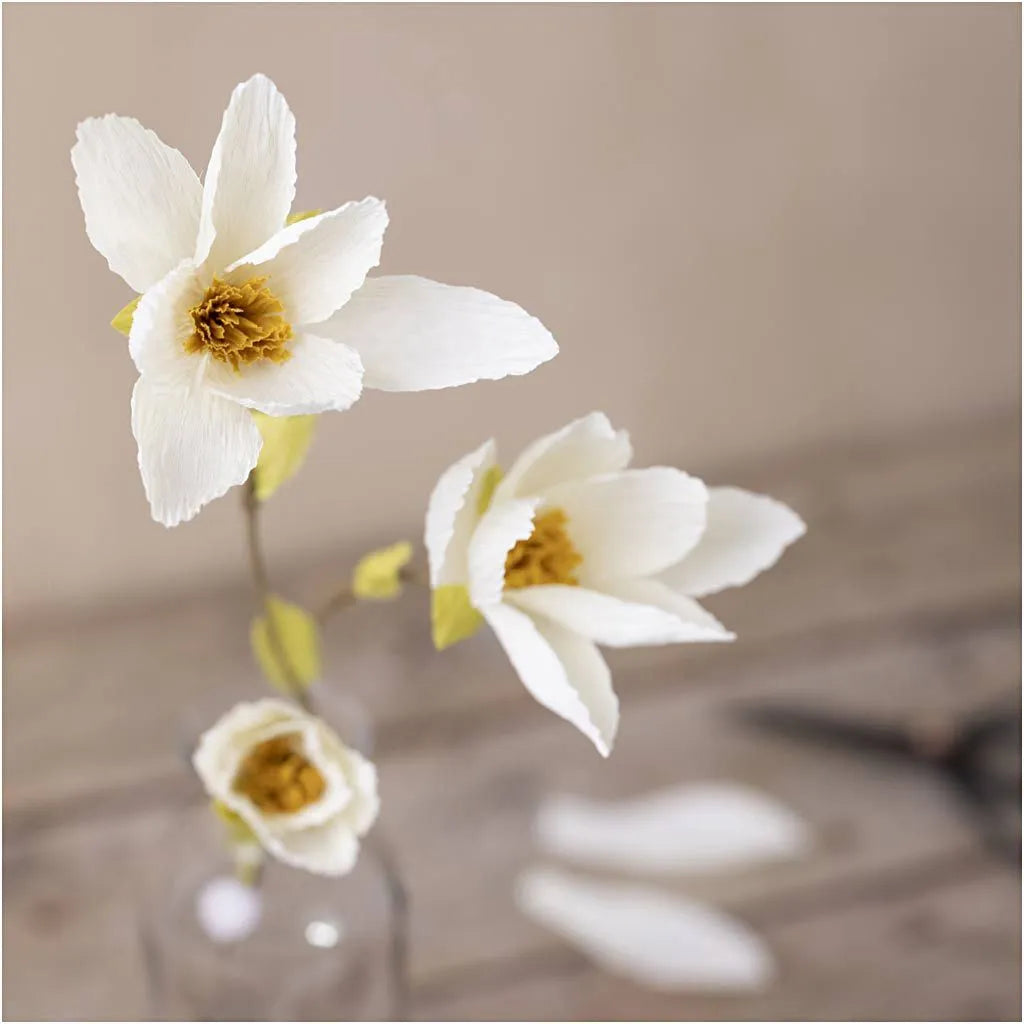Mini hobbyset crêpepapier magnoliatak