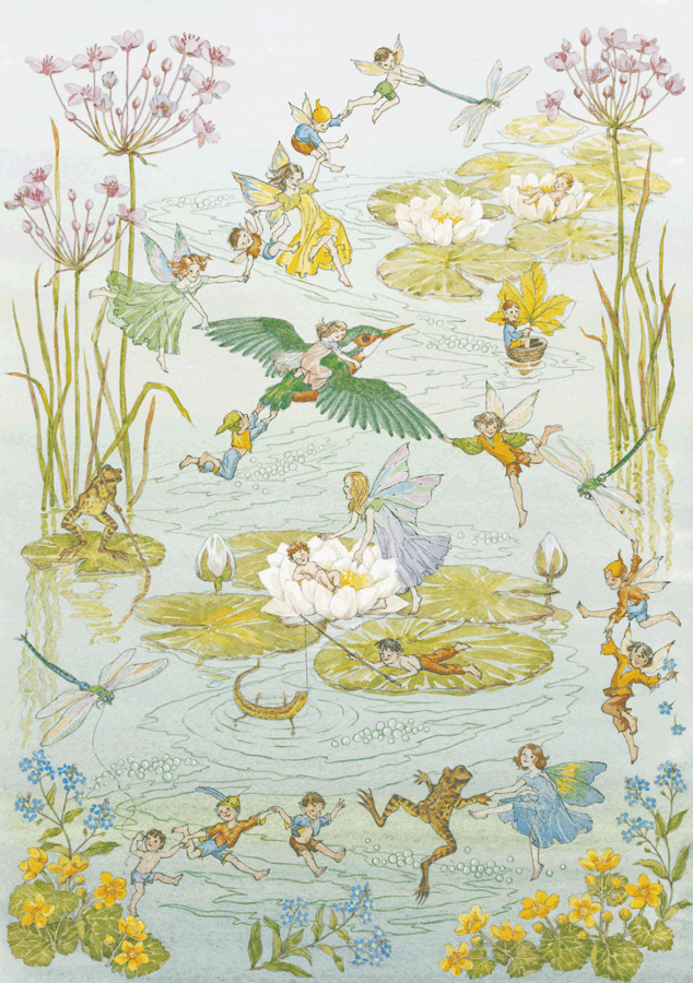 Molly Brett - Fairies and waterlilies