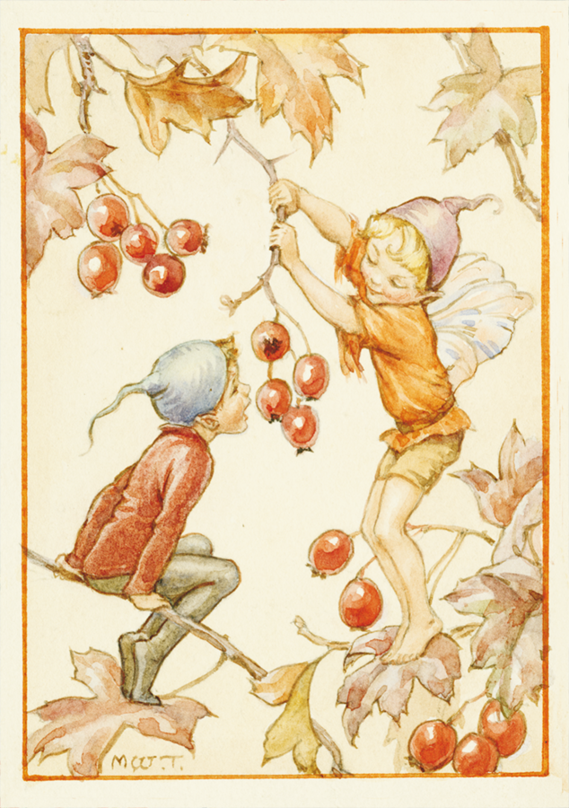 Margareth W. Tarrant - Catch if you can