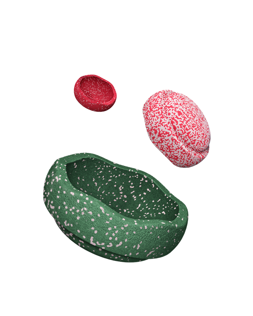 Christmas special stapelstein special triology set blush