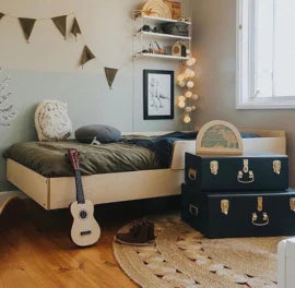 De Noest dino silhouet