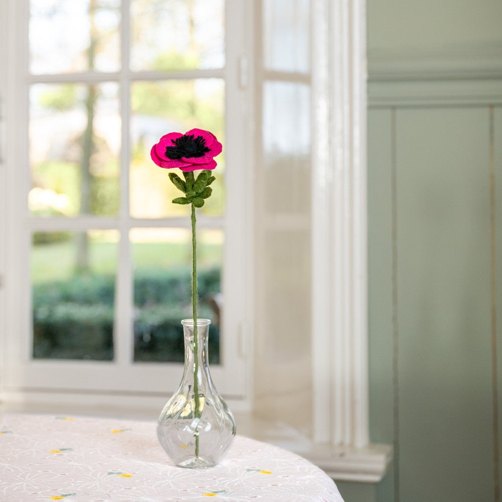 Anemoon fuchsia