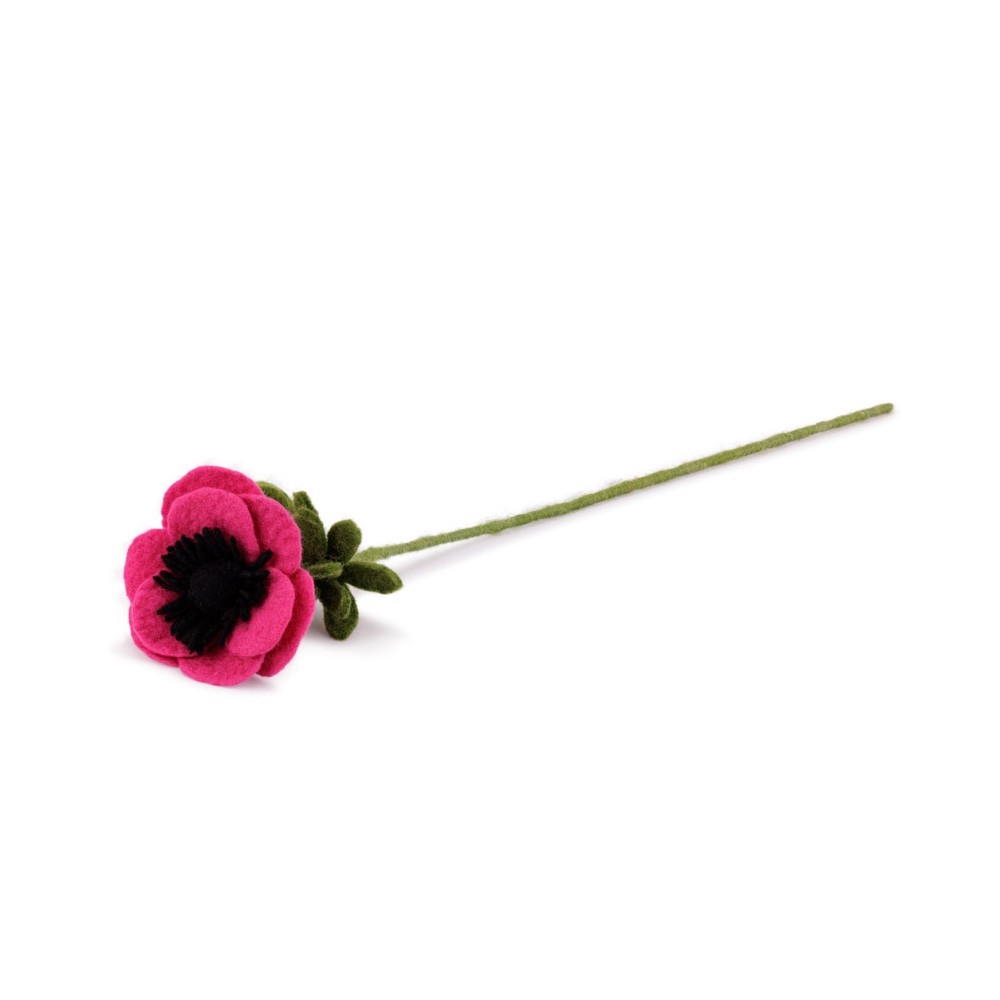 Anemoon fuchsia