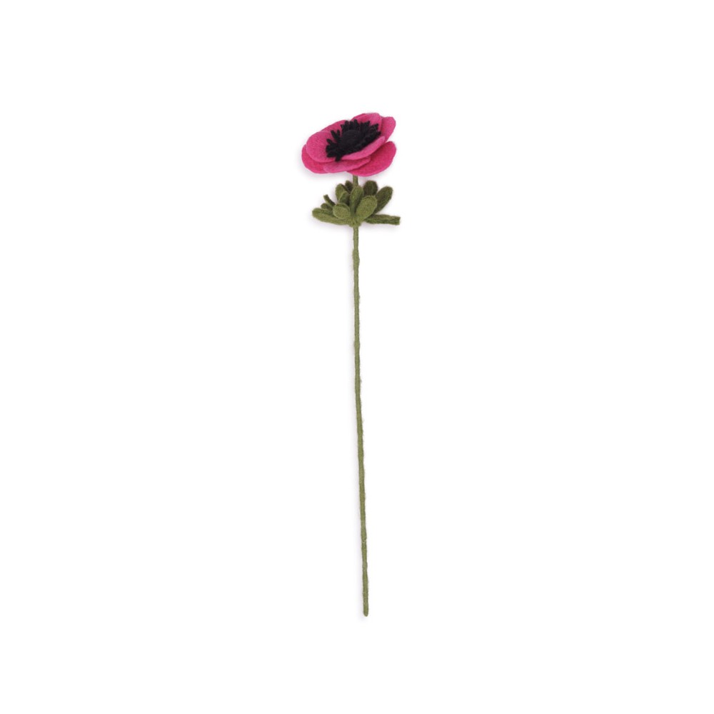 Anemoon fuchsia