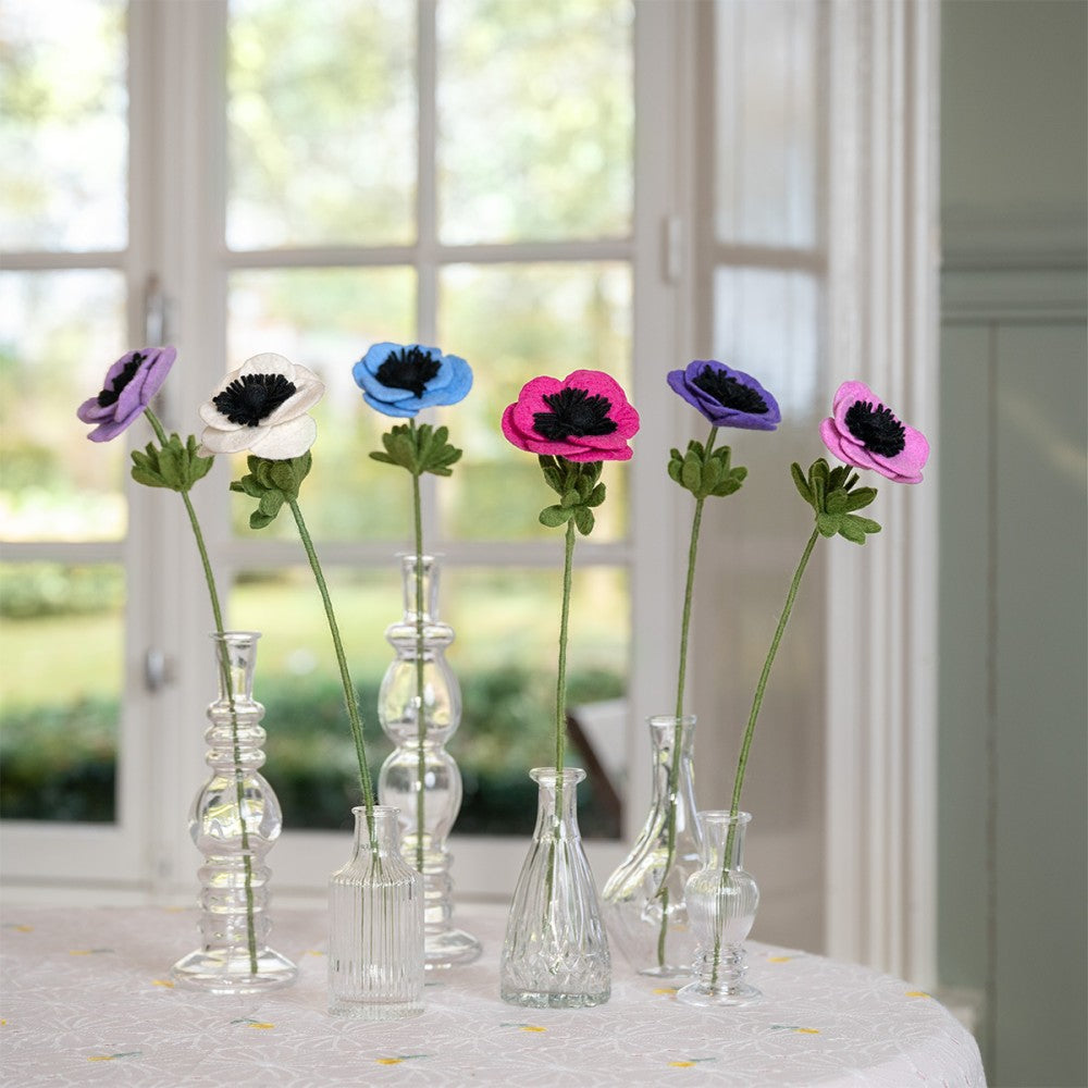 Anemoon fuchsia