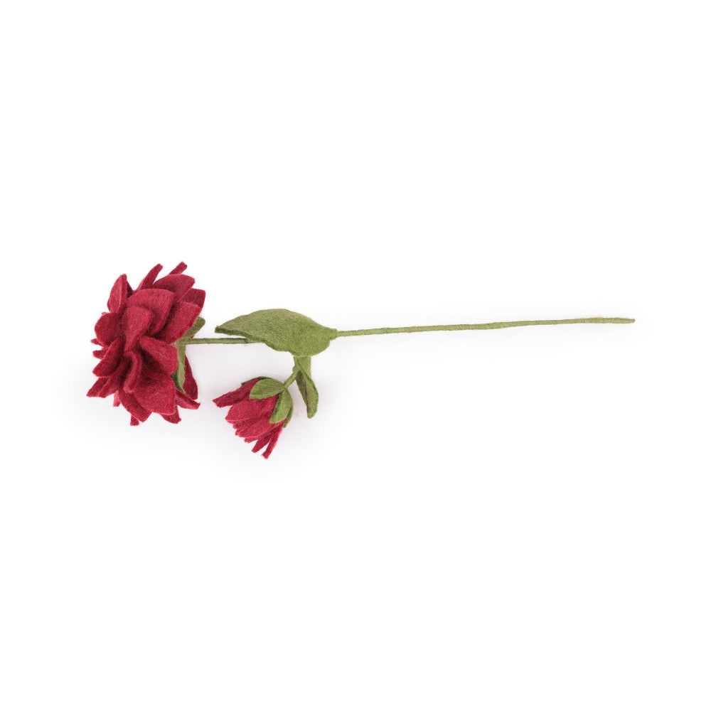 Bloem: dahlia xl wijnrood