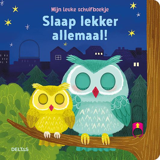 Mijn leuke schuifboekje Slaap lekker allemaal!