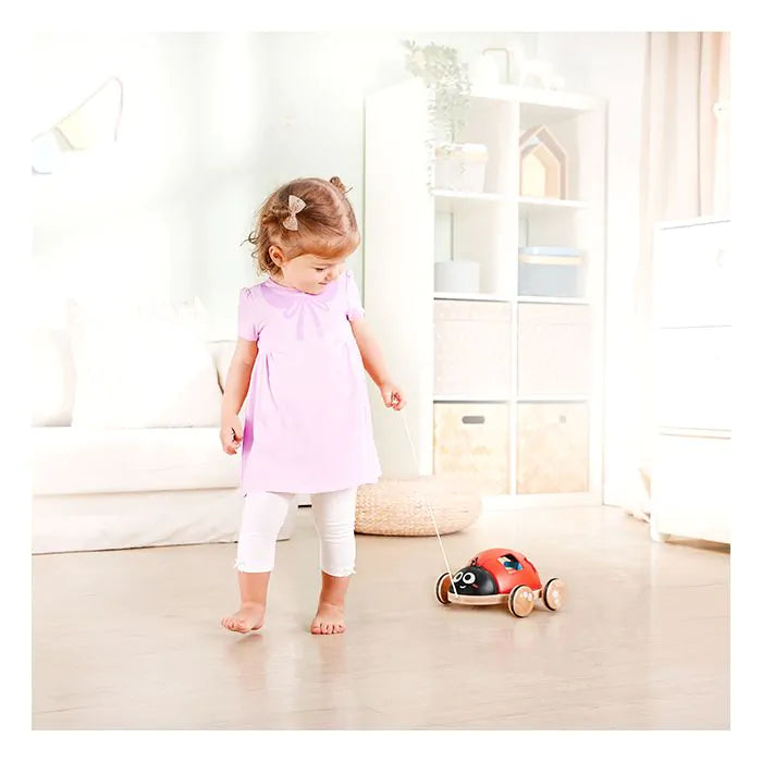 Hape trekdier lieveheersbeestje vormenstoof