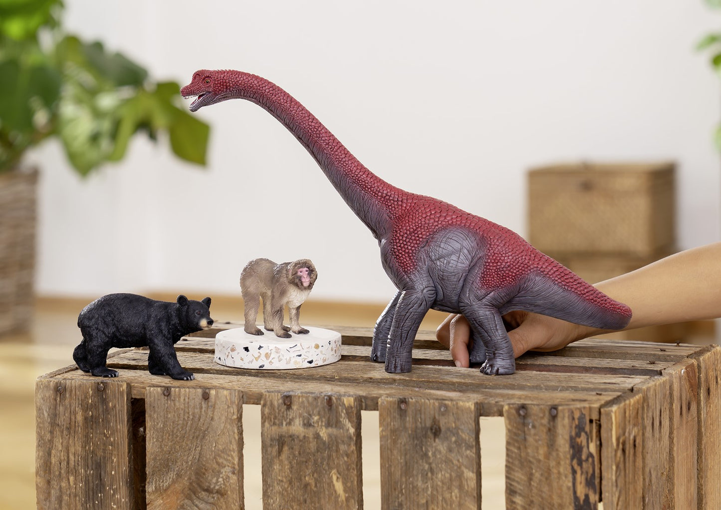 Schleich 14869 Amerikaanse zwarte beer