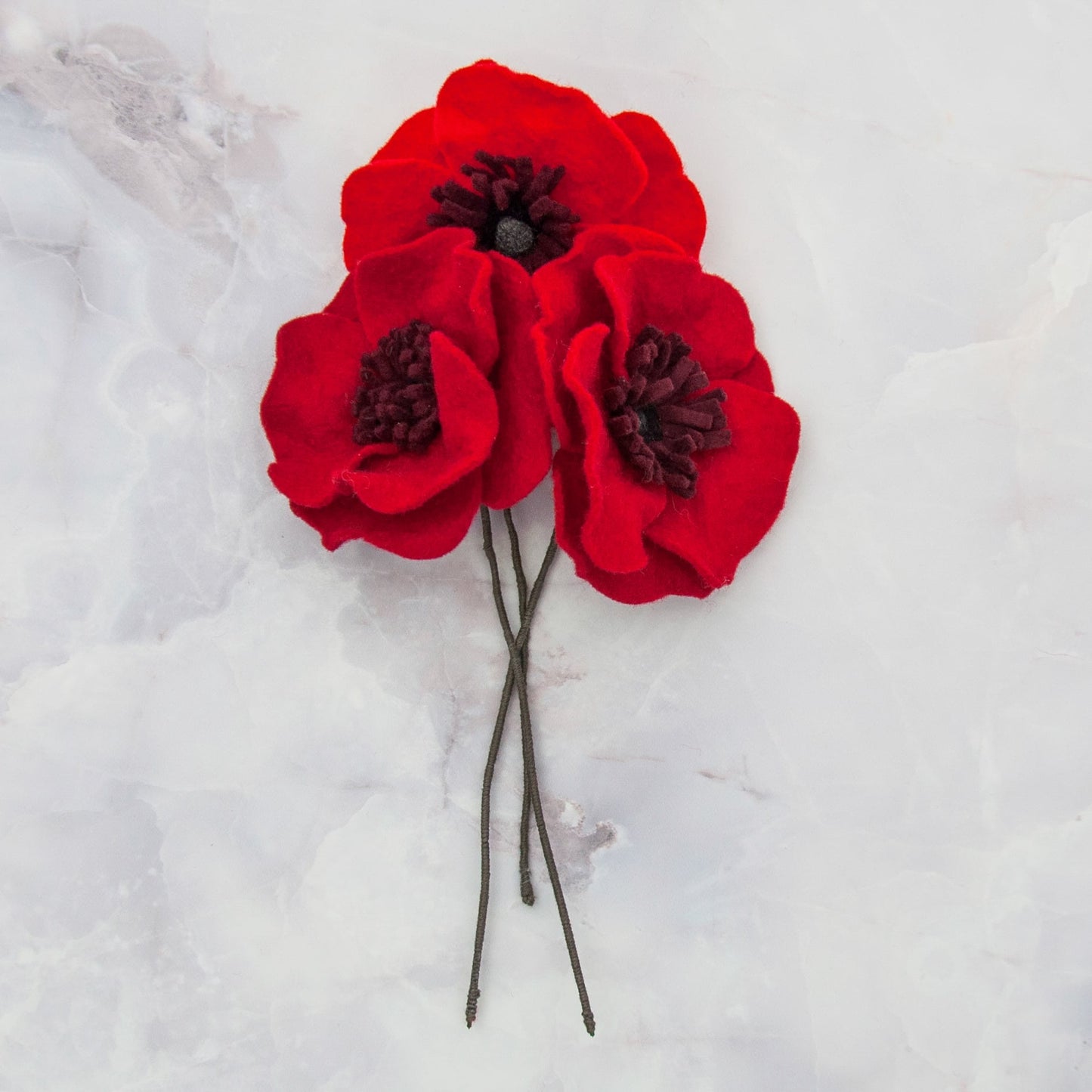 Bloom box - papaver