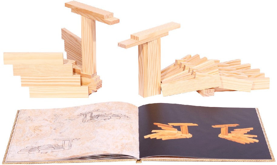 Kapla boek 4 first animals