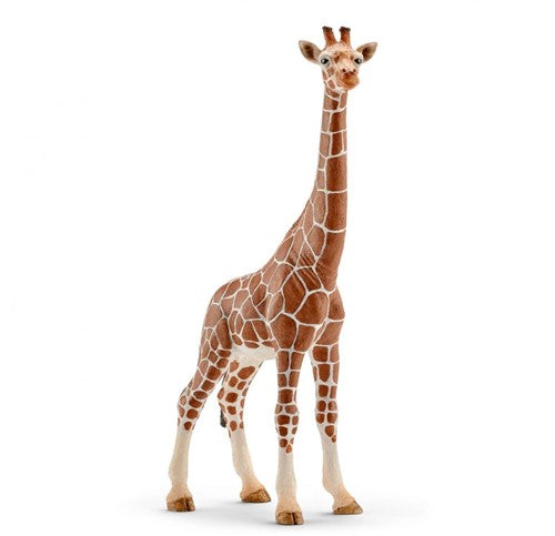 Schleich 14750 vrouwtjes giraf