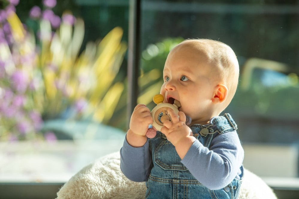 Tickit silisoft rattle teether aardekleuren