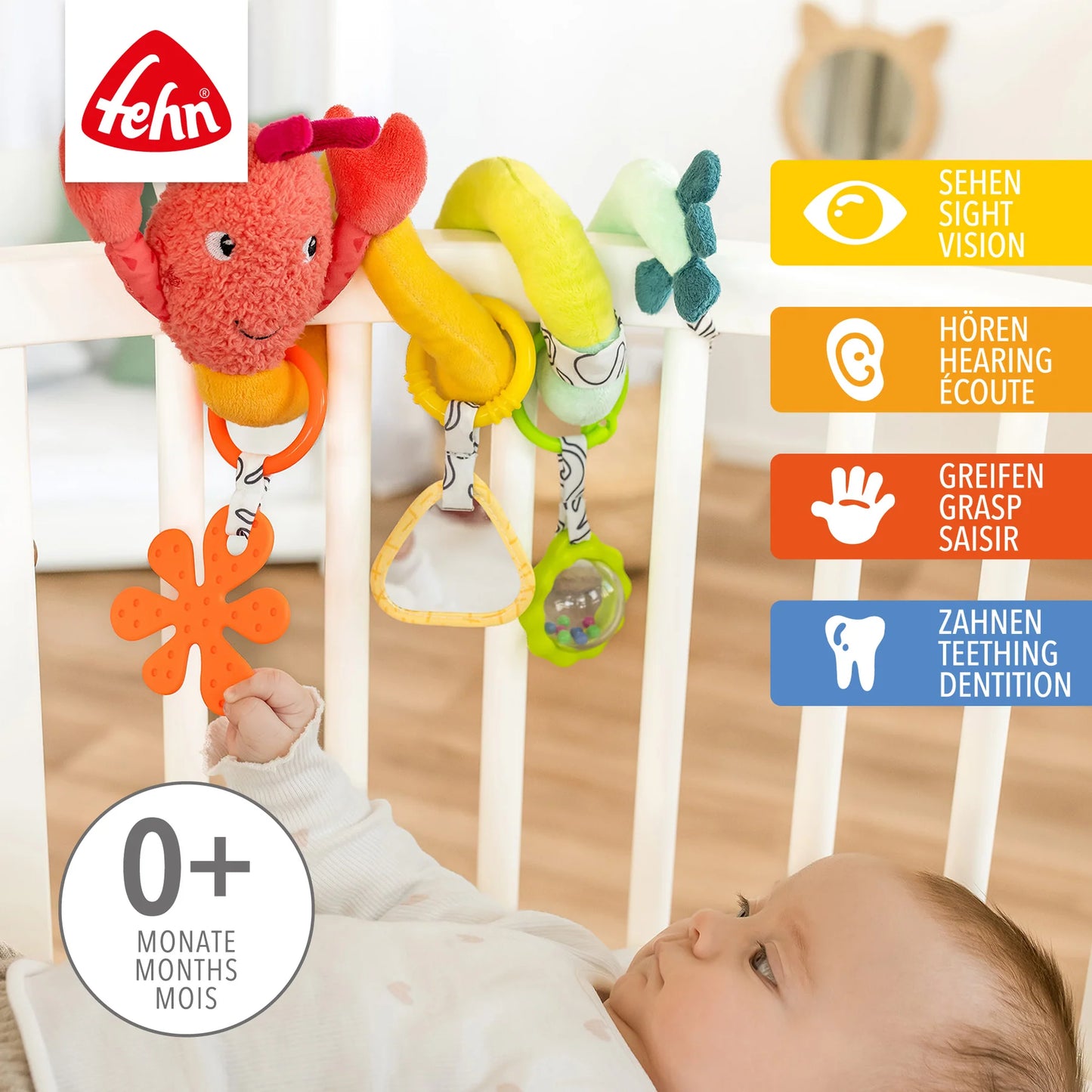 Fehn activity spiral lobster