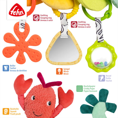 Fehn activity spiral lobster