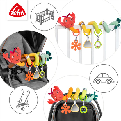 Fehn activity spiral lobster