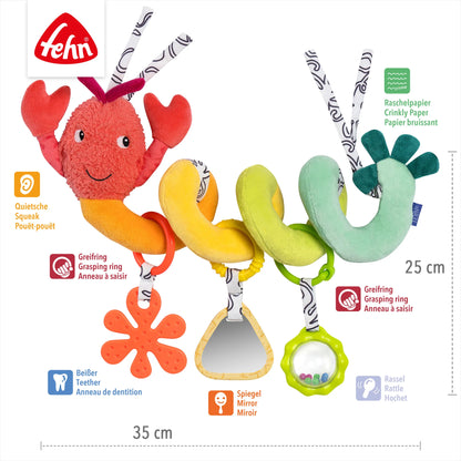 Fehn activity spiral lobster