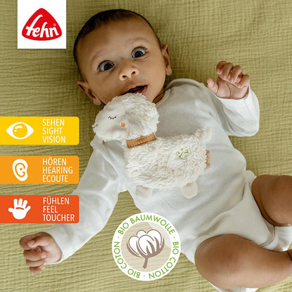 Fehn crinkle sheep NATUR