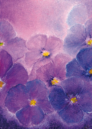 Baukje Exler - viooltjes