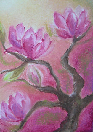 Baukje Exler - magnolia