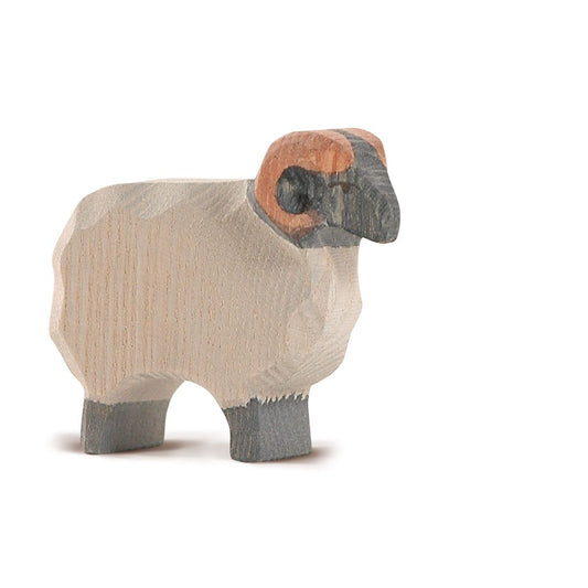 Ostheimer 11751 Moorland ram