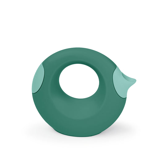 Cana small garden green