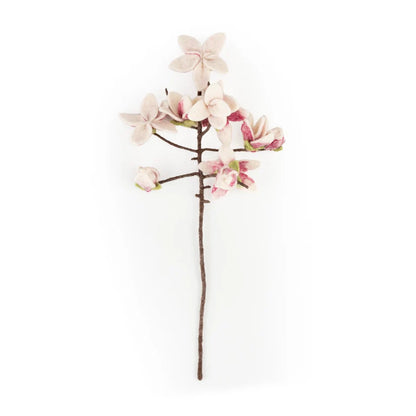 Magnolia