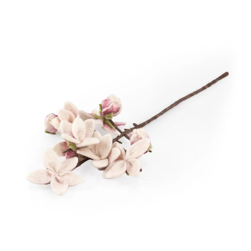 Magnolia