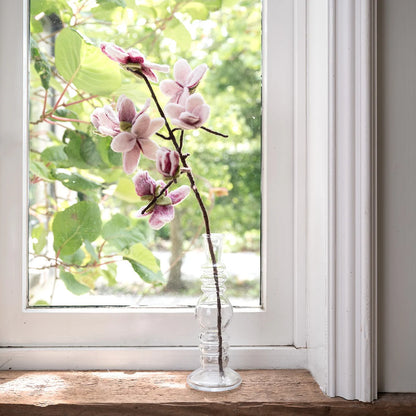 Magnolia