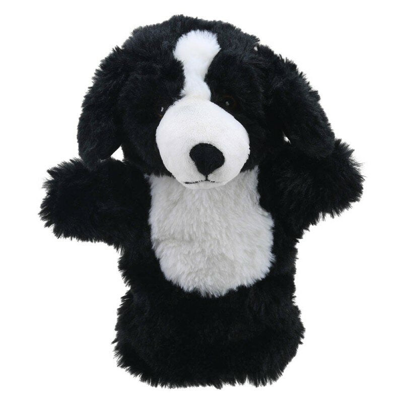 Handpop eco Border Collie
