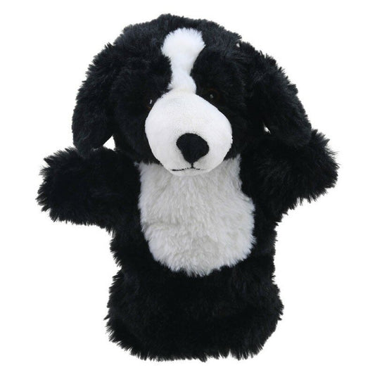 Handpop eco Border Collie